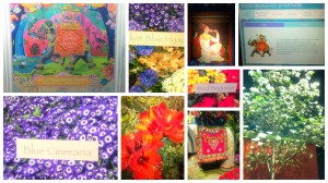 Highlights from The Macy's Flower Show