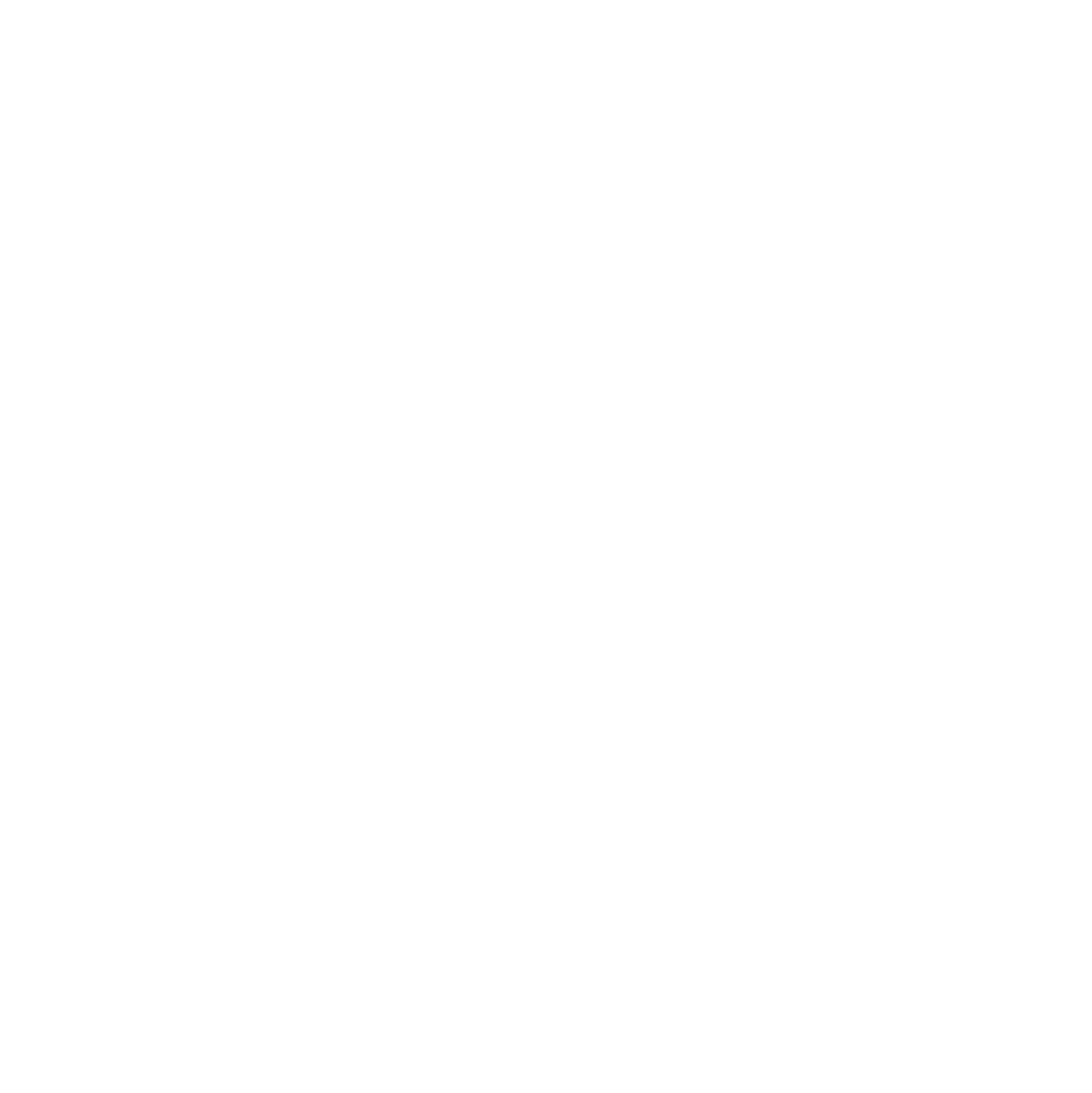 WCCO LOGO 2023 WHITE REVERSE KNOCKOUT RGB